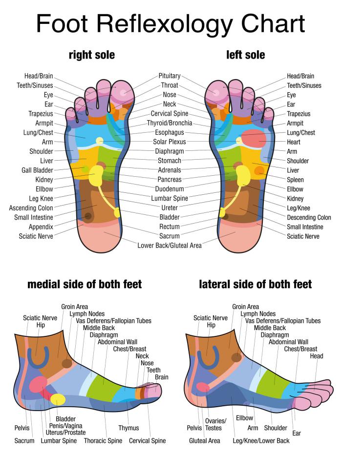 Réflexologie : Cartographie des pieds